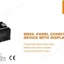 供应美国 MEAS*** M905一体式数显仪表可以添加可选继电器以及数字或模拟输出