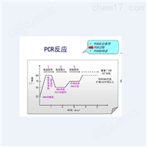 荧光PCR法检测试剂盒价格